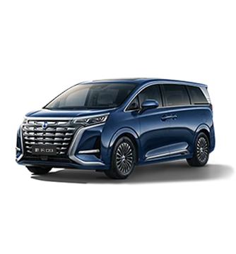 2024款奇迹娱乐D9